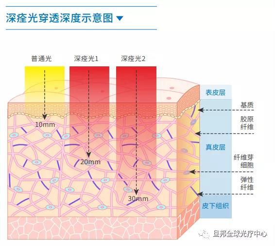 震驚中外的“深痊光”，黑科技臍光寶光療儀發(fā)布！(圖5)
