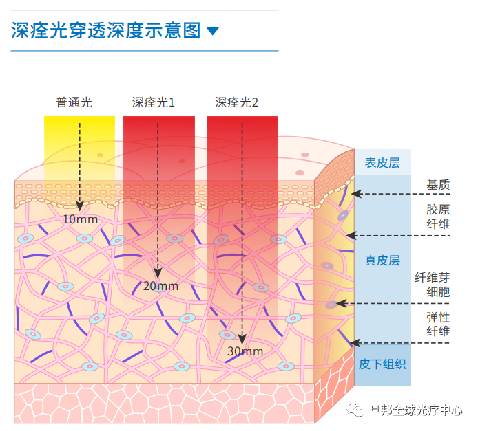 這個(gè)真相，你有過親身體驗(yàn)卻不知道！(圖6)